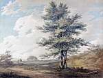 William Turner: Tájkép fával (színverzió 1) (id: 20529) vászonkép