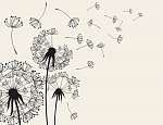 Abstract Dandelions dandelion with flying seeds vászonkép, poszter vagy falikép