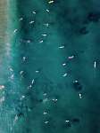 Szörfösök az óceánban (légi felvétel) (id: 12331) bögre