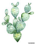 Cactus in watercolor vászonkép, poszter vagy falikép