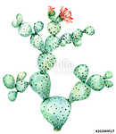 Cactus in blossom vászonkép, poszter vagy falikép