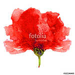 Watercolor poppy on a white background. Can be used for banner, vászonkép, poszter vagy falikép