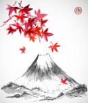 Fujiyama hegyi és vörös levelek japán juhar fehér háton vászonkép, poszter vagy falikép