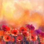 Az akvarell vörös mákvirág festménye. Virágfesték puha colóban vászonkép, poszter vagy falikép