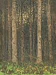 Erdei fák vászonkép, poszter vagy falikép