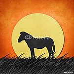 Szavannai naplemente zebrával vászonkép, poszter vagy falikép