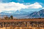 Volcano Aconcagua és a szőlőskert, Mendoza argentin tartomány (id: 9148) tapéta