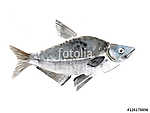 Egy másik hal vászonkép, poszter vagy falikép