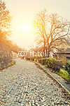 Régi utca napfényben, Buda vár közelében, Budapest Télen, Hu vászonkép, poszter vagy falikép