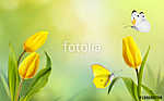 Spring floral template background. A beautiful bouquet of yellow vászonkép, poszter vagy falikép