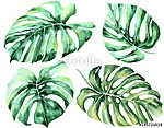 Tropical watercolor leaves set vászonkép, poszter vagy falikép