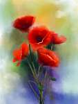 Az akvarell vörös mákvirág festmény. Virágfesték puha colóban vászonkép, poszter vagy falikép