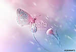 Beautiful delicate elegant butterfly on a flower with a soft foc vászonkép, poszter vagy falikép