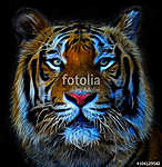 Digitális illusztráció egy bengáli tigrisről vászonkép, poszter vagy falikép