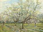 Vincent Van Gogh: Virágzó gyümölcsfák (id: 2861) tapéta
