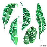 Tropical leaves set. vászonkép, poszter vagy falikép