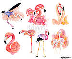 Rózsaszín flamingók vászonkép, poszter vagy falikép