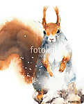 Vörös mókus téli bundában vászonkép, poszter vagy falikép