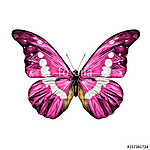 pink butterfly with white spots on the wings of the symmetric to vászonkép, poszter vagy falikép