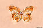Watercolor butterfly. vászonkép, poszter vagy falikép