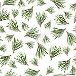 Seamless pattern with pine tree branches on white background. Ha vászonkép, poszter vagy falikép