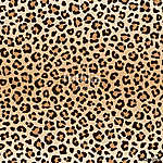 Seamless animal leopard pattern, vector vászonkép, poszter vagy falikép