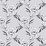 Seamless pattern with hand drawn white flowers 5. Line art peony vászonkép, poszter vagy falikép