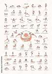 Hatha jóga poszter, 16-60 erősségű aszanákkal (id: 22574) poszter