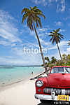 kubai kocsi a kókuszfa alatt vászonkép, poszter vagy falikép