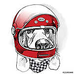 The image of the dog Racer in the modern helmet. Vector illustra (id: 14476) többrészes vászonkép