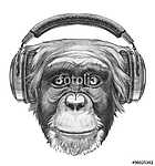 Portrait of Monkey with headphones. Hand drawn illustration. vászonkép, poszter vagy falikép