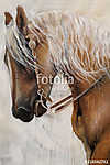 Gyönyörű Haflingi ló festmény vászonkép, poszter vagy falikép