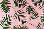 Pálmafa levelek pink háttérrel vászonkép, poszter vagy falikép