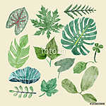 Pálma levelek (akvarell) (id: 13580) falikép keretezve