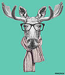 Portrait of Moose with glasses and scarf. Hand drawn illustratio vászonkép, poszter vagy falikép