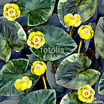 Seamless watercolor pattern of yellow water lilies and leaves. (id: 14781) vászonkép óra