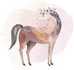Akvarell háziállatok - lovacska vászonkép, poszter vagy falikép