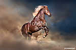 Vörös ló, hosszú szőke sörényrel, amely felemelkedik a porba vászonkép, poszter vagy falikép