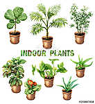 Watercolor Indoor Pot Plants vászonkép, poszter vagy falikép