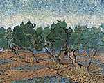 Vincent Van Gogh: Olajfa liget (id: 2884) tapéta