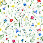 Floral seamless pattern with wild flowers and herbs on a white b vászonkép, poszter vagy falikép
