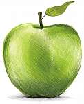 Zöld Apple rajz vászonkép, poszter vagy falikép