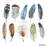 Watercolor bird feather from wing isolated. Aquarelle wild flowe vászonkép, poszter vagy falikép