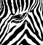 Zebra minta vászonkép, poszter vagy falikép