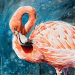 Flamingó, vízfesték stílusban vászonkép, poszter vagy falikép