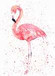 Akvarell flamingó splash-el. Festmény kép vászonkép, poszter vagy falikép