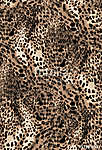 leopard vászonkép, poszter vagy falikép