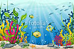 Víz alatti tájkép halakkal és kövekkel vászonkép, poszter vagy falikép