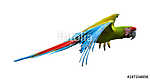 Zöld papagáj repül vászonkép, poszter vagy falikép