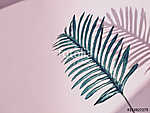 Nagy trópusi levél rózsaszín háttérrel vászonkép, poszter vagy falikép